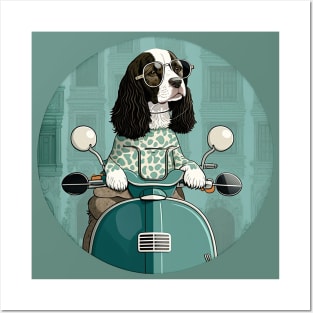 Super Cool Springer Spaniel on a Scooter 2 Posters and Art